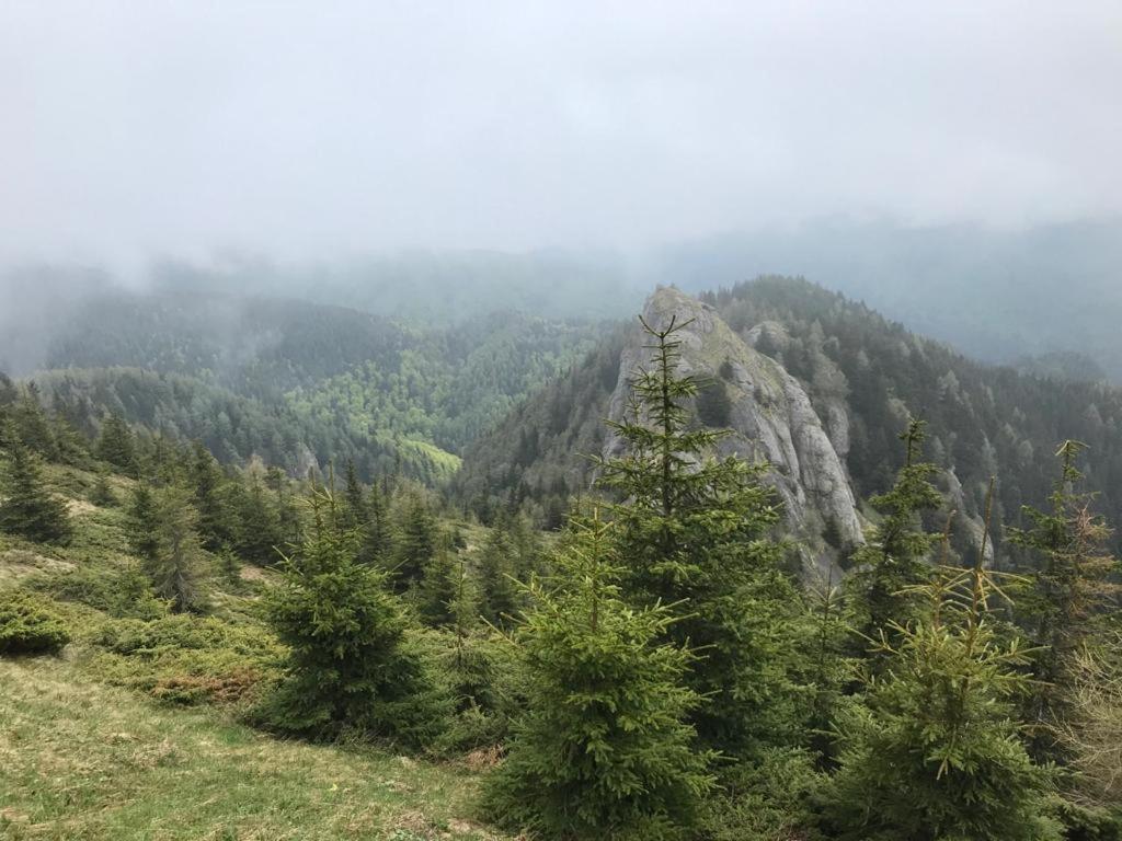 Apartament Ovo Sinaia Exteriör bild