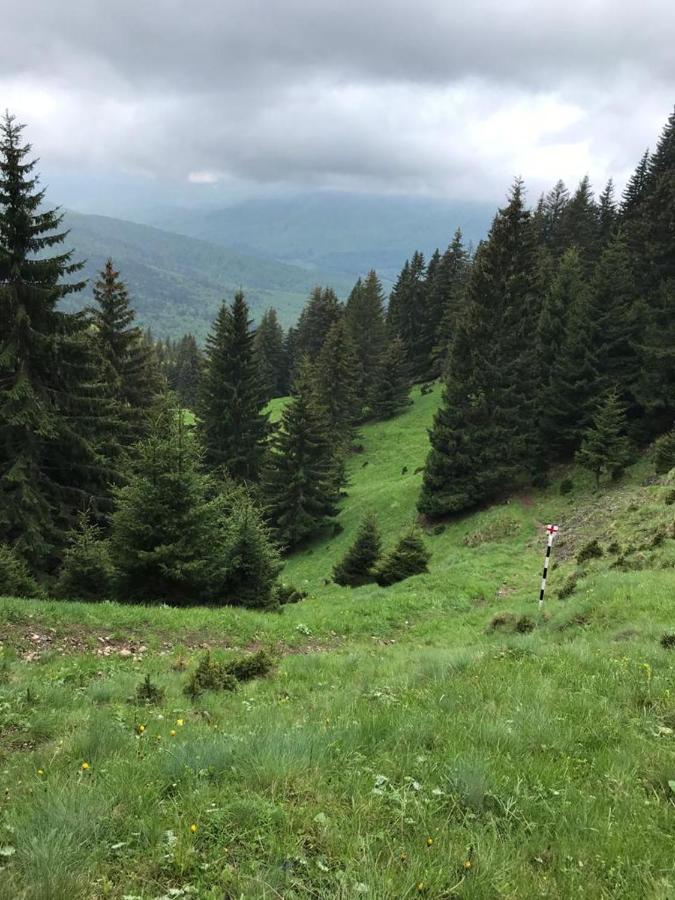 Apartament Ovo Sinaia Exteriör bild