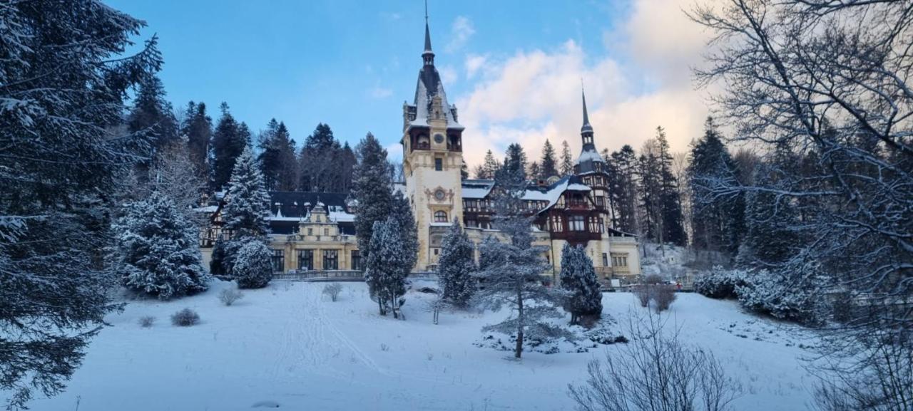 Apartament Ovo Sinaia Exteriör bild
