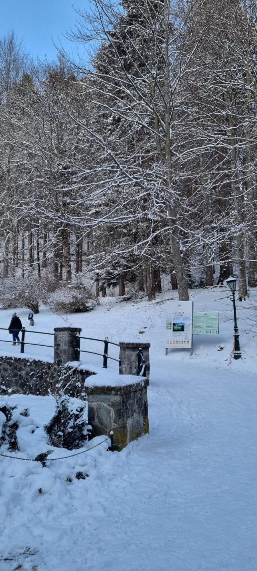 Apartament Ovo Sinaia Exteriör bild
